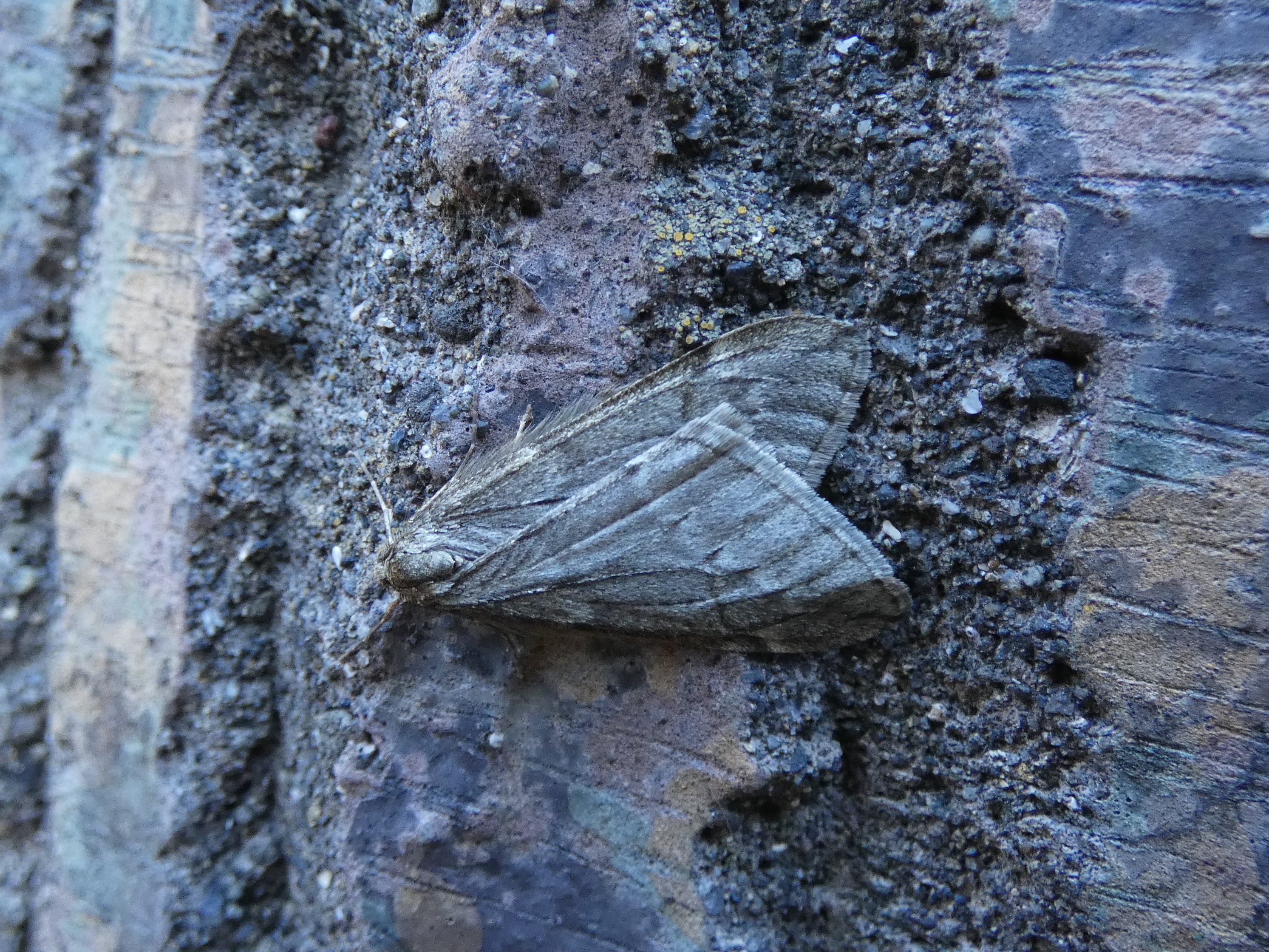 photo_1